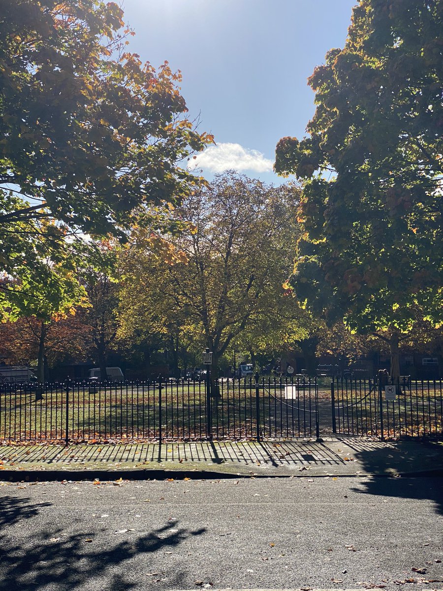 Beautiful leaf 🍁 colour in The Park. Collection and deliver service in full flow for our customer. Winters if coming is your coat clean and ready to keep you warm?