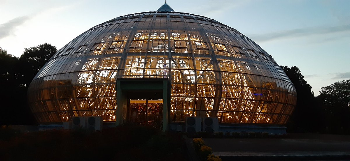 きよ 玉ねぎハウス ハロウィン のイルミネーションで綺麗です 福井県 福井県坂井市 福井総合グリーンセンター 花の展示温室 ハロウィーン イルミネーション