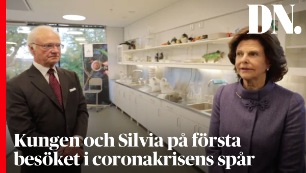 dagensnyheter's tweet photo. Kungen och drottningen i exklusiv intervju om coronakrisen och oron för en andra våg: ”Vi måste fortsätta hålla i nu.”
https://t.co/fMnN5zxziW https://t.co/Sw3qqaKjwA