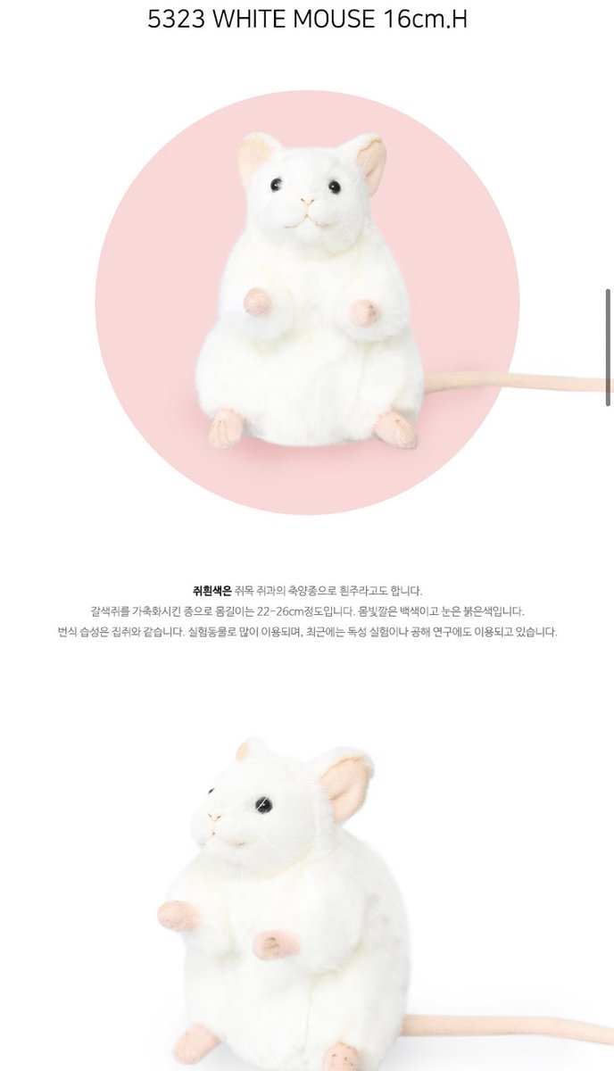 Lecbeth's tweet image. 좀더 리얼한 느낌은 한사토이인데 오랜만에 들어가자마자 함박웃음 터지고 있음 ouasmall.kr/m/product.html…