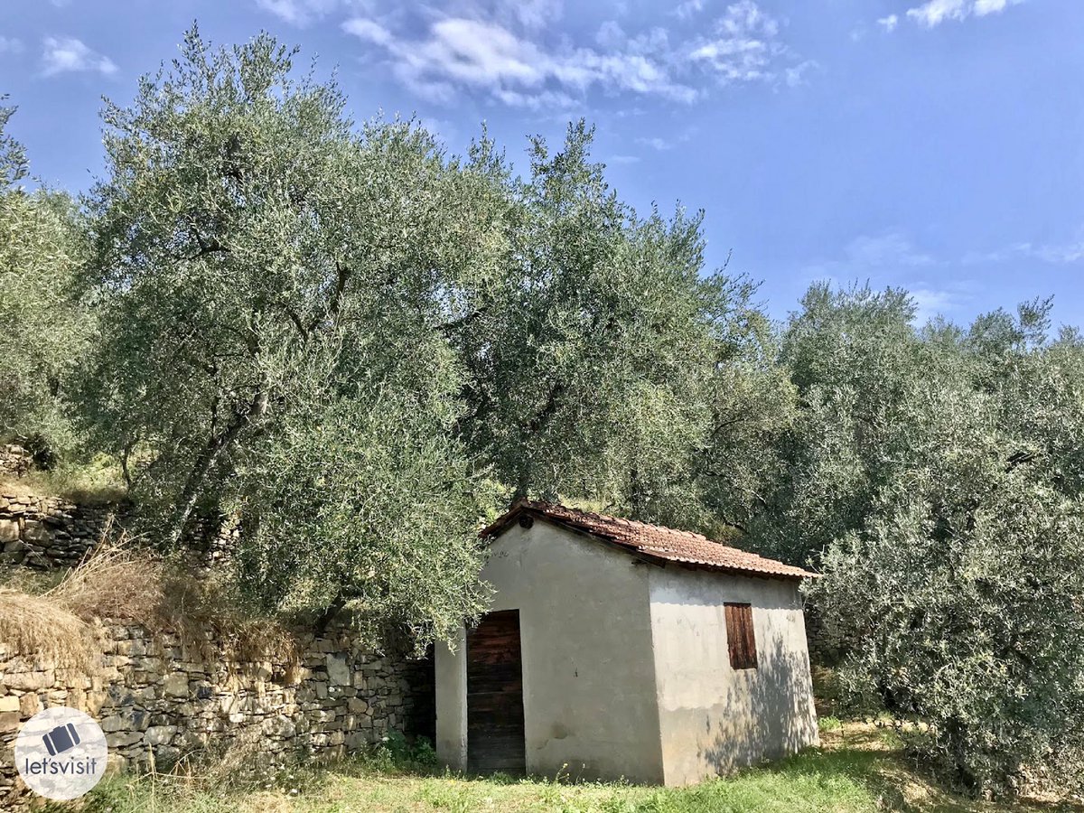 Let's Visit Liguria tweet media