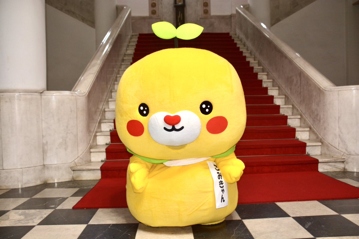 Yeolhtp9ntadjm