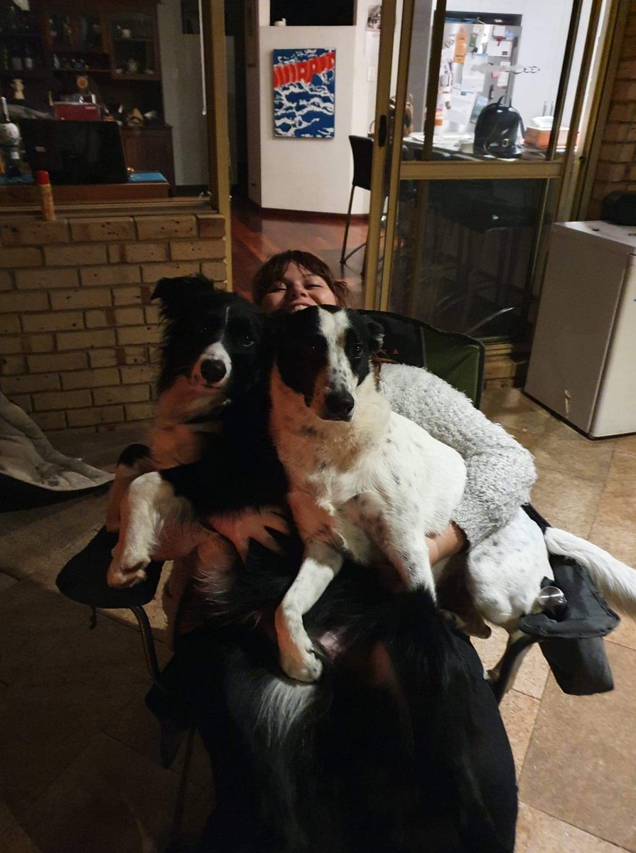 melliebubs's tweet photo. @JackieMButler Being suffocated by 2 dogs is the best way to go imo https://t.co/45zDvdW5c9