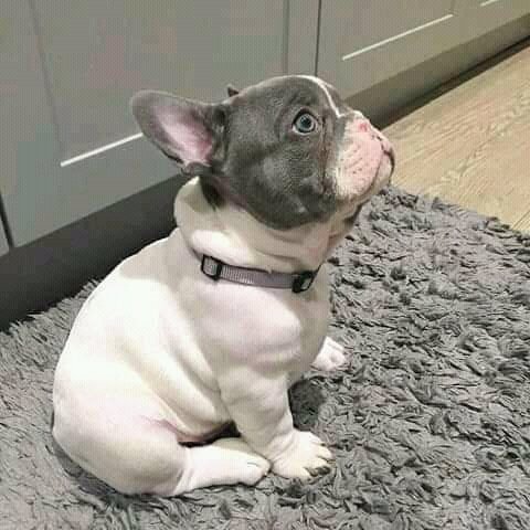 Doctor Andrew tweet media