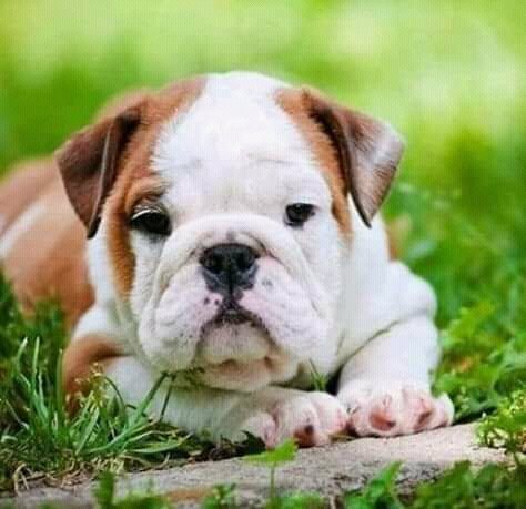 Doctor Andrew tweet media