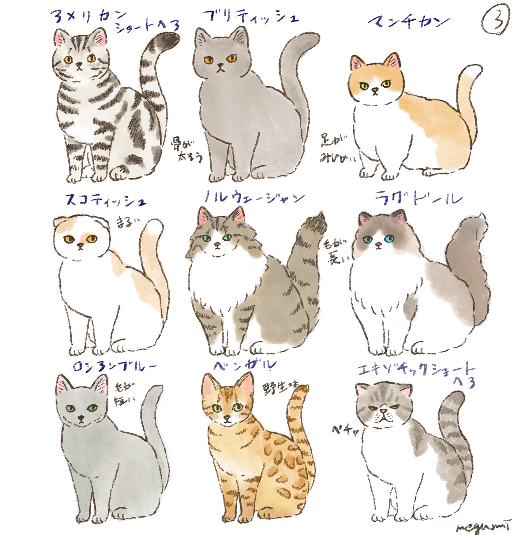 تويتر いしかわめぐみ على تويتر 猫色々 このデザインでブローチを作る予定です 猫イラスト アメリカンショートヘア ブリティッシュショートヘア マンチカン スコティッシュフォールド ノルウェージャンフォレストキャット ラグドール ロシアンブルー