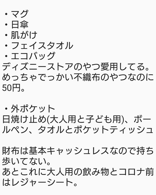 ディズニーの持ち物を少なく 冬でもバッグの中身を最小限にする方法 Disnew Info