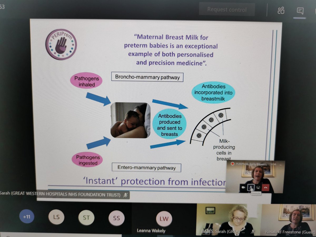 Fab @peri_prem share and learn session on optimising EBM element across @sw_ahsn & @WEAHSN geography @SarahBates18 @AnnRemmers @MenziesNoshin @LeannaWakely @swneonatal @SWPatientsafety #collaboration https://t.co/Bg3sR2mhGh