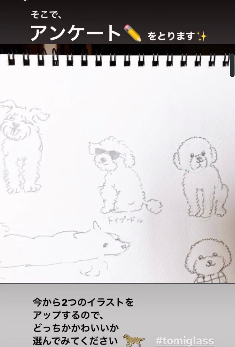 トミガラス公式 Instagramのストーリーズで 新作のイラストアンケートをとってます どっちがかわいいかを選んでいくだけの シンプルなものです やっぱりトイプードルの迷いはアンケートにも現れて 自分の中で確信があパグは意見が割れず トミガラス公式 Instagramのストーリーズで 新作のイラストアンケートをとってます どっちがかわいいかを選んでいくだけの シンプルなものです やっぱりトイプードルの迷いはアンケートにも現れて 自分の中で確信があパグは意見が割れず