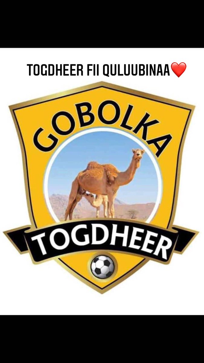 SamatarZ's tweet image. #TogdheerCup