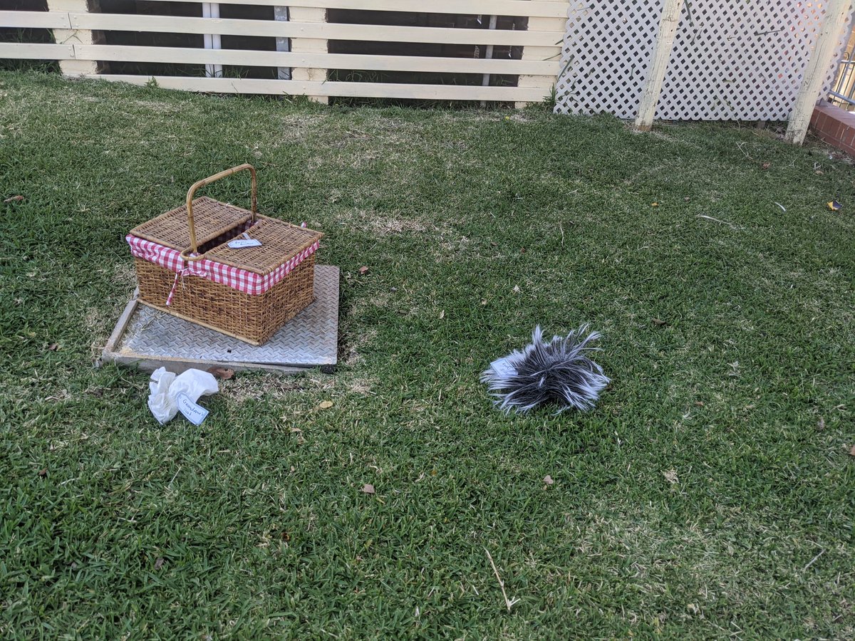 KD have identified the main suspects and are working hard to solve the crime by using the evidence from our crime scene 🕵️#whostoletherosies