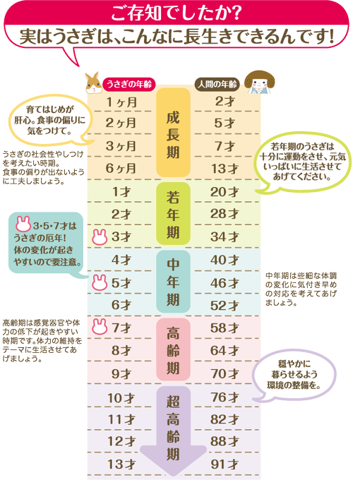 うさぎ年齢寿命のtwitterイラスト検索結果