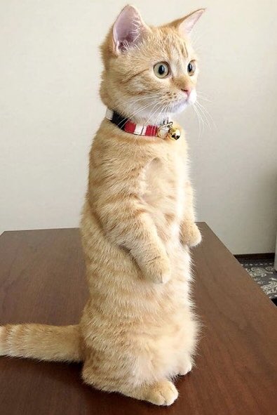 <a href="/GomezDansoy/">Dansoy Gomez Rosario (Dai)</a> Good morning Dai enjoy your day dear friend hugs 😊🤗❤️