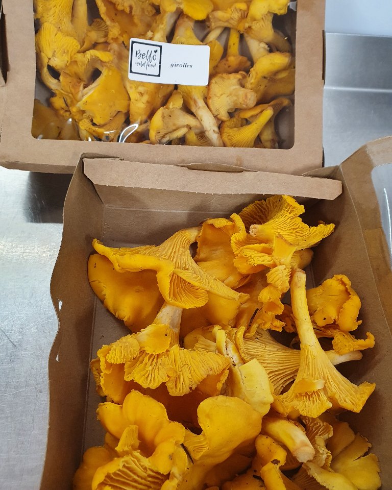 LittleSeedStone's tweet photo. Stunning girolles 😍 this morning from @bellowildfood via @wellocks they come in 100% recyclable packaging too! https://t.co/PIhApeD1fG