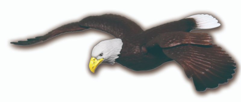 Uzivatel ねとらぼ生物部 Na Twitteru 強くてかっこいい鳥が勢ぞろい あそべる生物フィギュアシリーズ 鳥たちの世界 カプセルトイが登場 T Co Bny9i40ekq