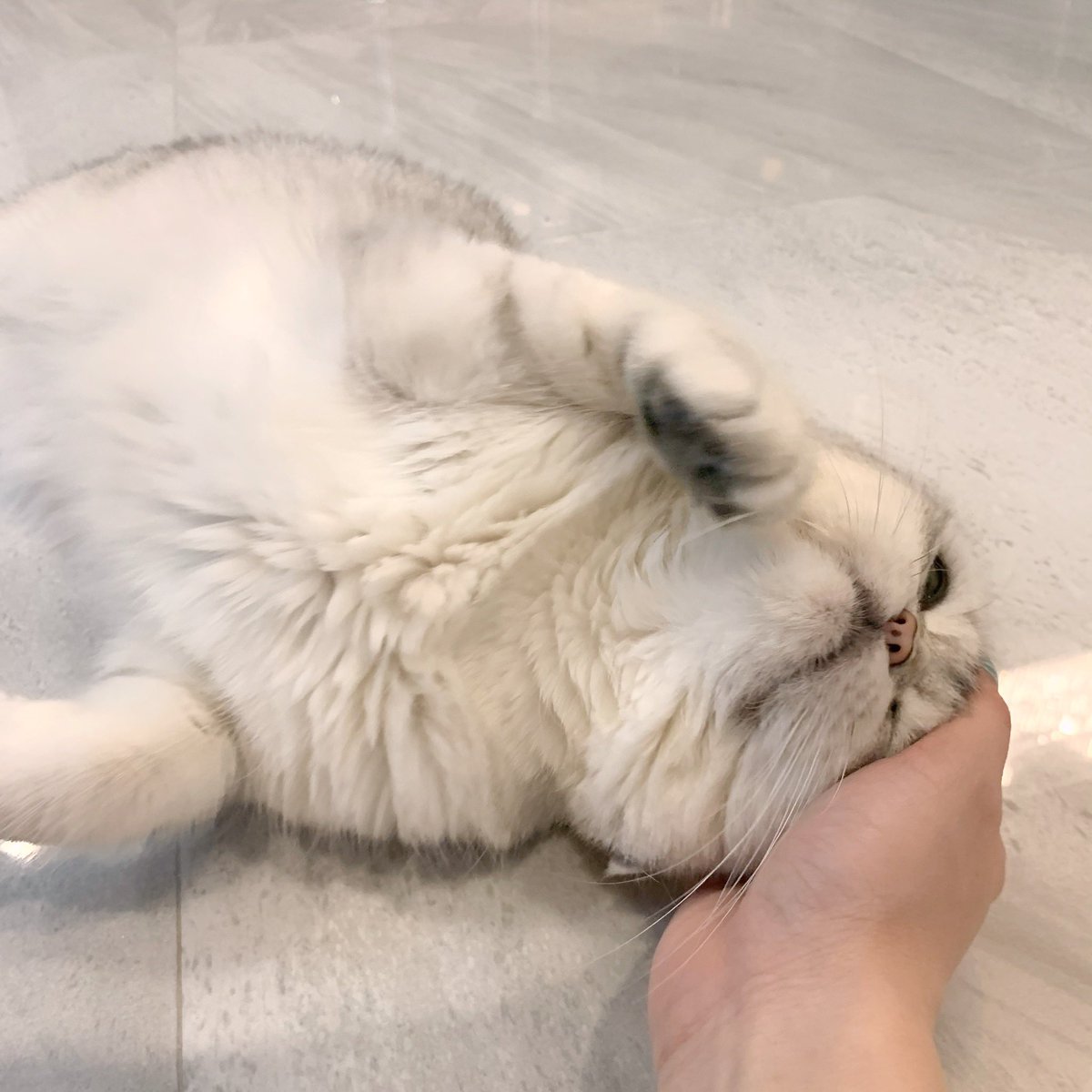 Bonusiie's tweet photo. บิดแง้ว เคลิ้มม https://t.co/7Yl0qP30Pu