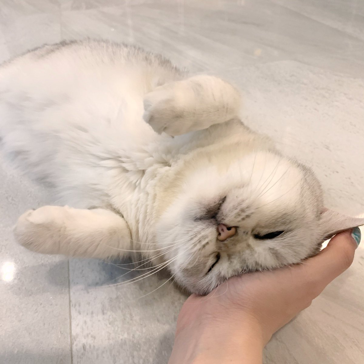 Bonusiie's tweet photo. บิดแง้ว เคลิ้มม https://t.co/7Yl0qP30Pu