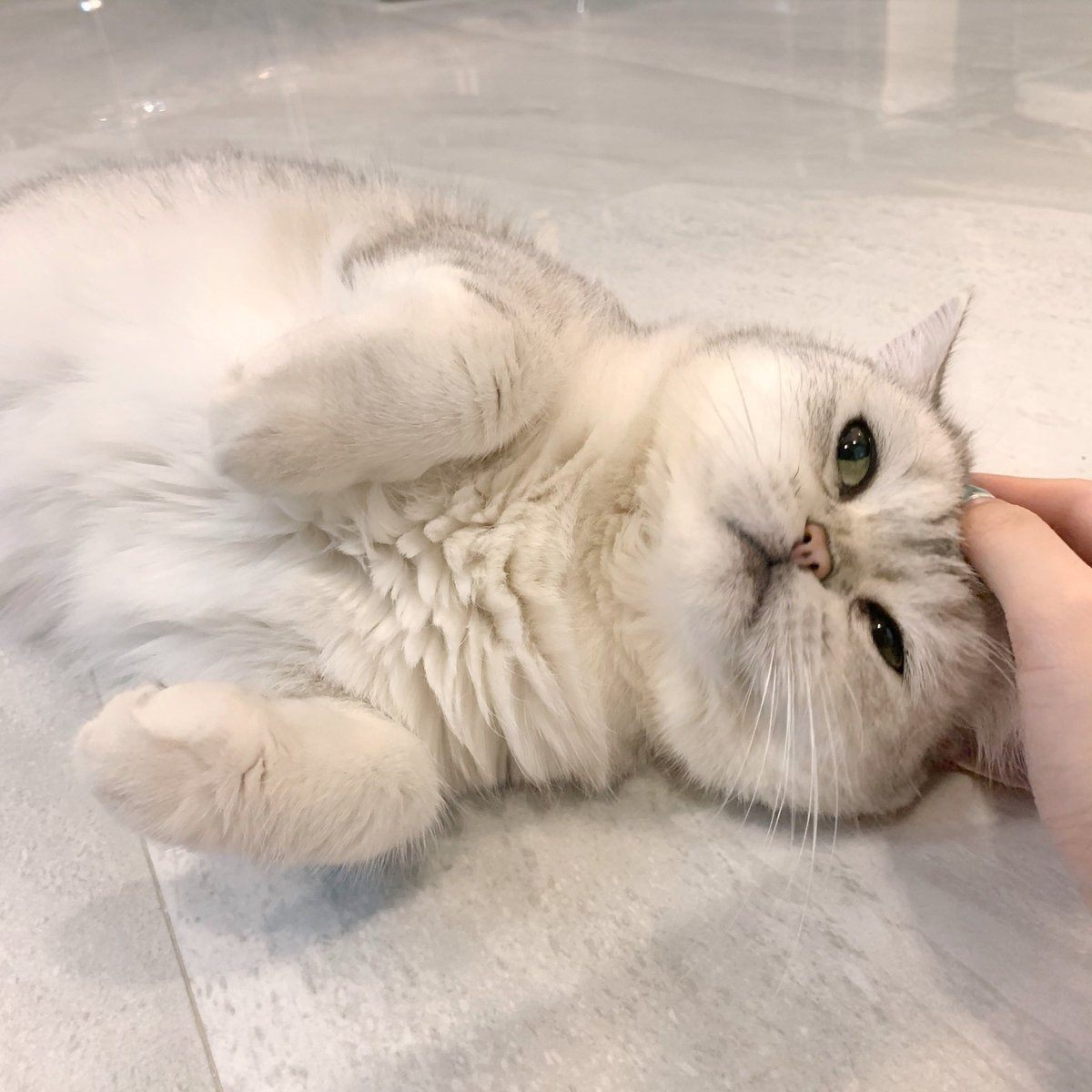 Bonusiie's tweet photo. บิดแง้ว เคลิ้มม https://t.co/7Yl0qP30Pu