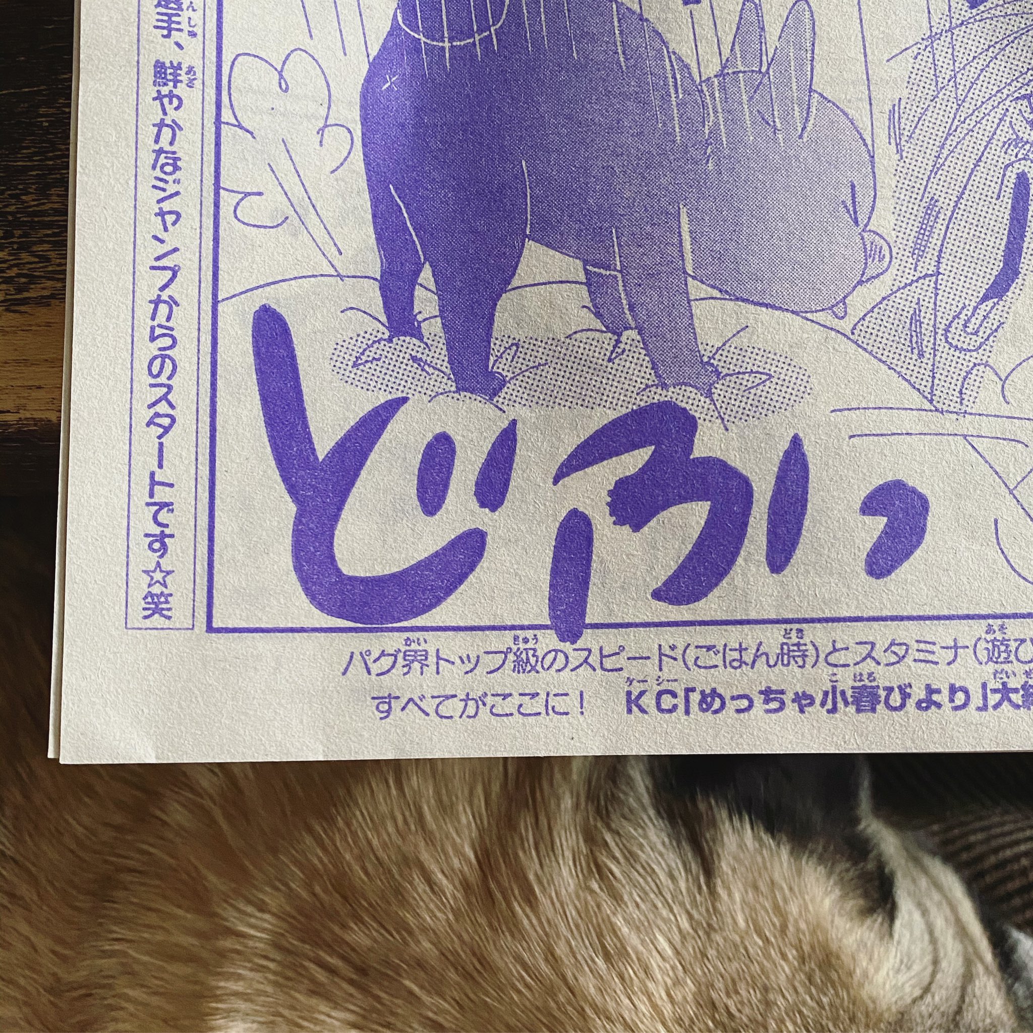 ひぐち にちほ 別冊フレンド本日発売です 小春びよりは そのまんまお茶目ネタでお届け よろしくお願いいたします