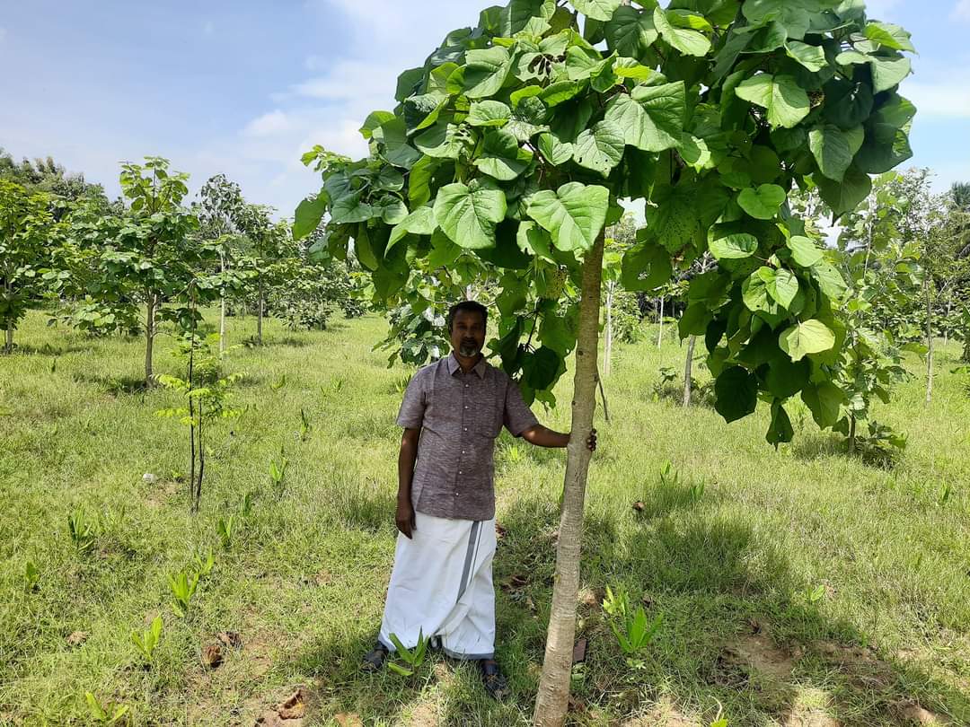 IshaTamil's tweet photo. தஞ்சையில் நஞ்சில்லா உணவை உற்பத்தி செய்து மக்களுக்கு வழங்கி வரும் இயற்கை விவசாயி மாத்தூர் திரு. #சச்சிதானந்தம் அவர்கள் தன் நிலத்தில் மூன்றில் ஒரு பகுதியை மர விவசாயமாக மாற்றியுள்ளார். https://t.co/YjppwnxtMY