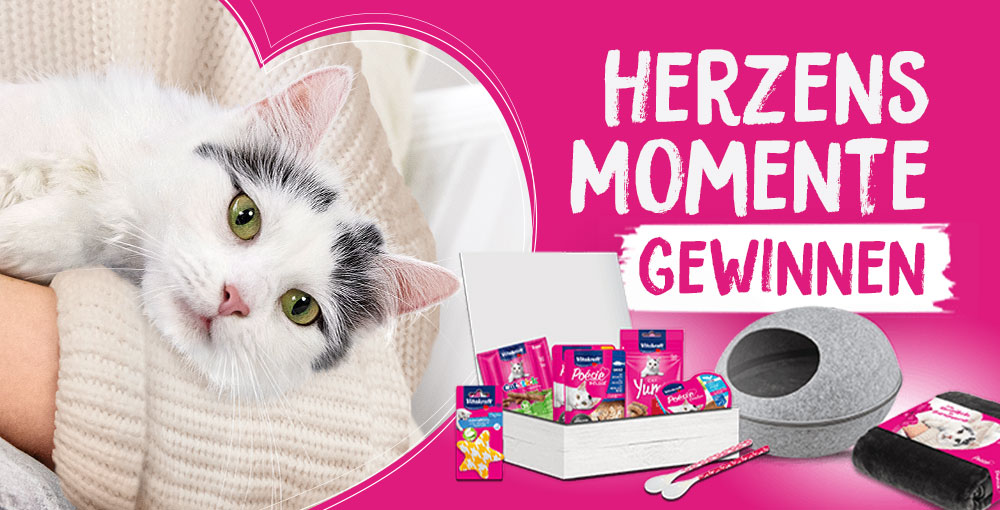 vitakraft's tweet photo. Wir möchten einfach mal wieder sagen: Schön, dass es Dich gibt! ❤ Wer von Samtpfoten 🐱 nicht genug bekommt, kann jetzt Herzensmomente gewinnen: https://t.co/SNOXQVyfry #Vitakraft #Poesie #SchöndassesDichgibt #Herzensmomente https://t.co/Xh6Dt2deMk