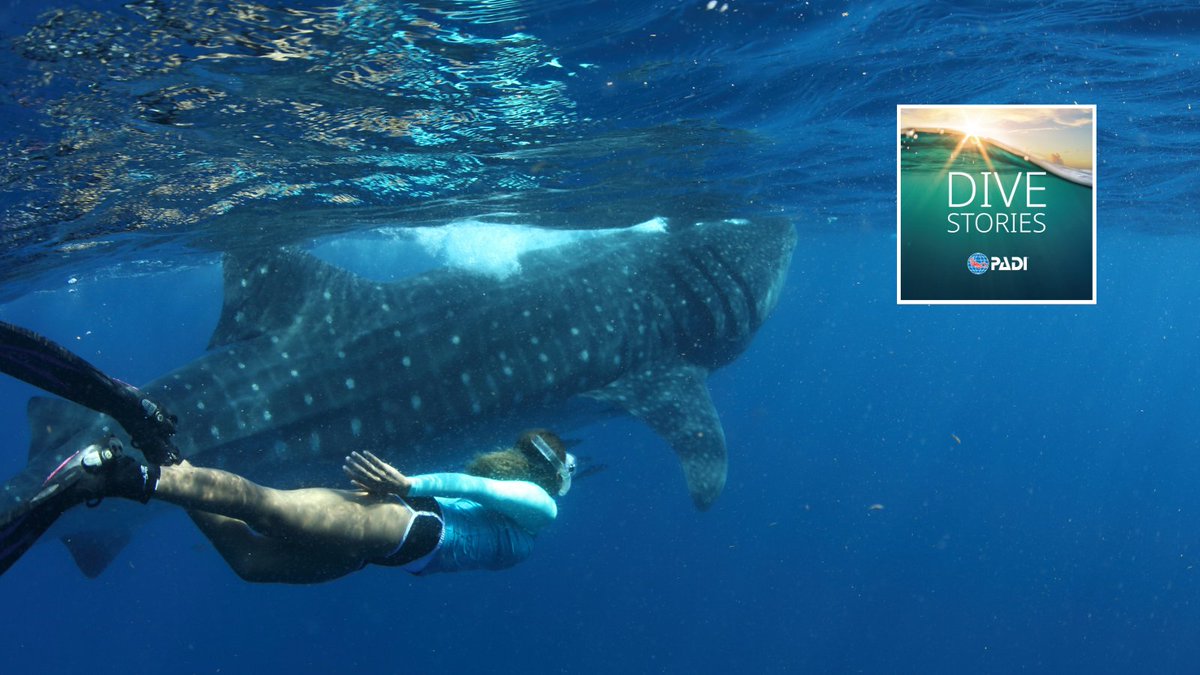 Seek Adventure. Save the Ocean. Listen to <a href="/danniwashington/">danni washington 🧜🏽‍♀️</a> on Dive Stories Podcast: padi.co/hkf4x.