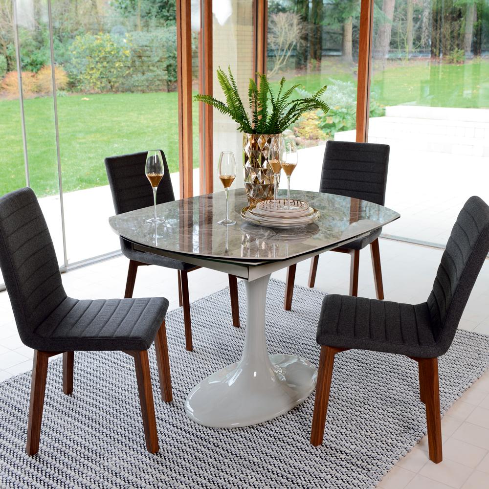 Dwell extendable deals dining table
