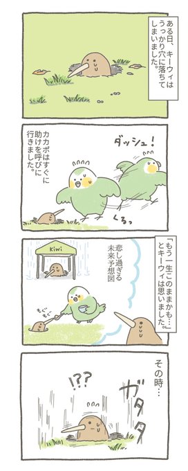 うっかりキーウィ。

今日もカカポとキーウィはげんきです? 