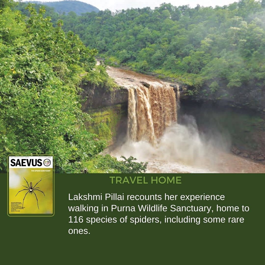 SaevusWildlife's tweet photo. Get your digital copy now
Saevus Wildlife: https://t.co/gMV57q12u6
Magzter : https://t.co/1jBI06mLjm
Readwhere : https://t.co/DDYiySoZyg
#Saevus #saevusmagazine #birdsmagazine #wildlife #september2020 #magzter #digital #digitalmagazine #magazine #magazinedesign #magazineart https://t.co/u8AHRjfQWQ