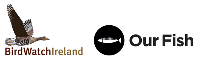 Minister <a href="/McConalogue/">Charlie McConalogue</a> Must Take Steps to Reinstate Ban on Trawlers in Coastal Waters to Ensure #Ireland’s Sustainable Fisheries bit.ly/2GJNlRq @Biggyfin <a href="/BirdsMatter_ie/">BirdsMatter_ie</a> <a href="/Bec_Hubbard/">Bec Hubbard</a> <a href="/agriculture_ie/">Dept of Agriculture, Food and the Marine</a> <a href="/BordIascMhara/">Bord Iascaigh Mhara (BIM)</a> @marineinst #endoverfishing