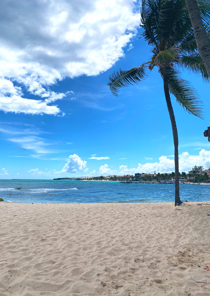 _23FGR's tweet photo. Regrésenme! Aunque haya más sargazo que mar 🌴 https://t.co/FO4CMs0aMH