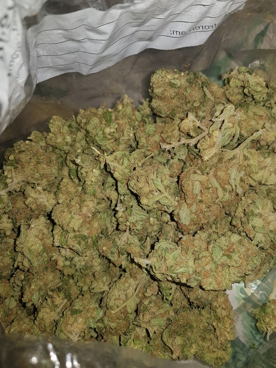 To some peeps that definitely need it!! <a href="/DucktheRoofer/">Duck</a> <a href="/stoneteacher420/">+StoneTeacher420🇵🇷AKA(TEACH420)💚</a> @Bigs_Mclovin420 <a href="/TheCannaChronic/">🔥CANNA💨</a> <a href="/QUEENDIVA420/">Queen</a> @PMR420 @X_MannG @tshakeme <a href="/lil_marshmello/">Lil-Mello 💖💜💙🌙</a> <a href="/Lakers/">Los Angeles Lakers</a> <a href="/SnoopDogg/">Snoop Dogg</a> (homie where's the love?) #81jointsforfuzz #StayLifted #PPP 🙏✌💚💨💨  contact +19094479820