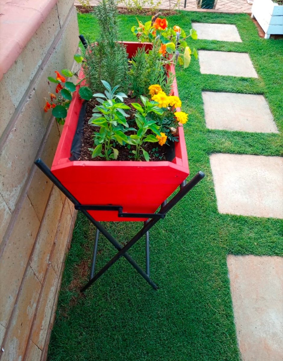 kitchengardenke's tweet photo. Our beautiful foldable and portable herb stand. #foodsecurity #urbanfarming #Nairobi #nairobikenya #kitchengardening https://t.co/kAcfH3MfVU