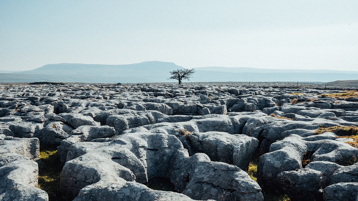 yorkshire_dales's tweet photo. Morning!
Who likes dramatic limestone pavements? If so, you've come to the right place as the #YorkshireDales has oodles of them ☺️
This is the remote area of #Sulber. Find out more about these landscapes ⬇️ #TuesdayVibes
https://t.co/LgXyFzKJlG
📷 Christopher Werrett https://t.co/YCrcogIVMj