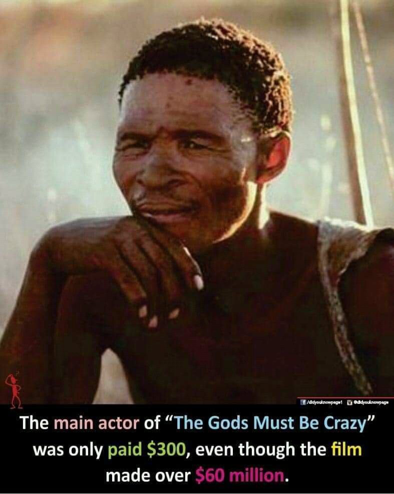 Conqueror🇿🇼 tweet media
