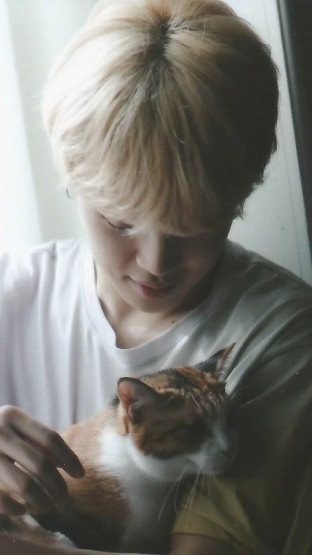 Jimin petting kitties while you stroll side by side