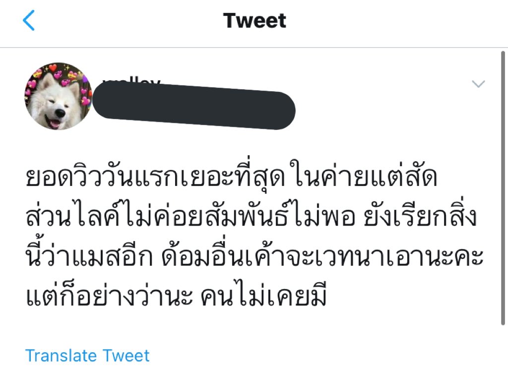 マーク 🍳🫑 tweet media