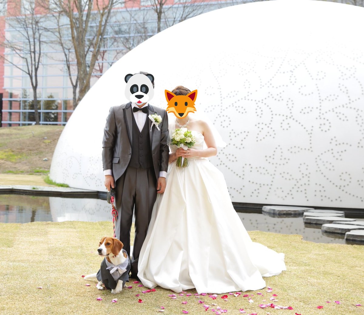ビーグル梵ちゃん 結婚式の写真に未だにいいねやコメントくださってありがとうございます 前に載せきれなかった分も 一番のお気に入りは花びらを食べたそうな梵ちゃん笑 愛犬との結婚式を検討されてる方達の参考になれば幸いです 星野リゾート ビーグル梵ちゃん 結婚式の写真に未だにいいねやコメントくださってありがとうございます 前に載せきれなかった分も 一番のお気に入りは花びらを食べたそうな梵ちゃん笑 愛犬との結婚式を検討されてる方達の参考になれば幸いです 星野リゾート