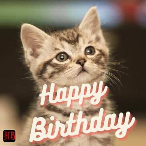 Happy Birthday 2 All Com Birthday All Twitter