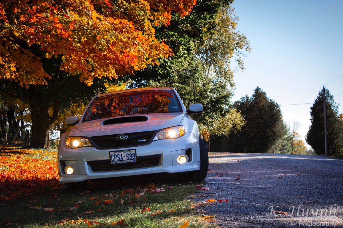 KenHy Films tweet media