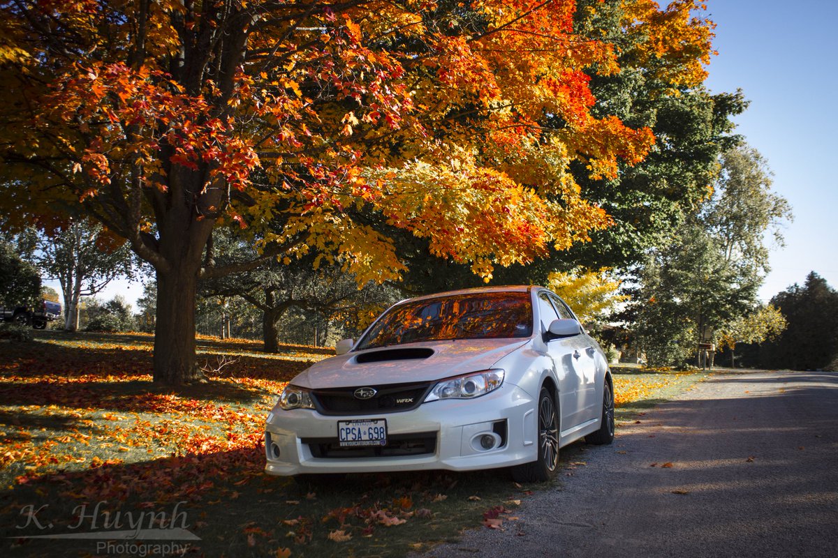 KenHy Films tweet media