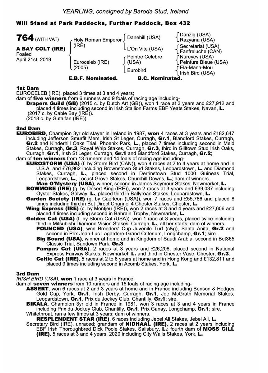 Delighted to have purchased this good looking colt by @coolmorestud Holy Roman Emperor @Tattersalls1766 from @BarodaStudIre with @bobbyoryan1 a good moving colt with a pedigree full of winners!