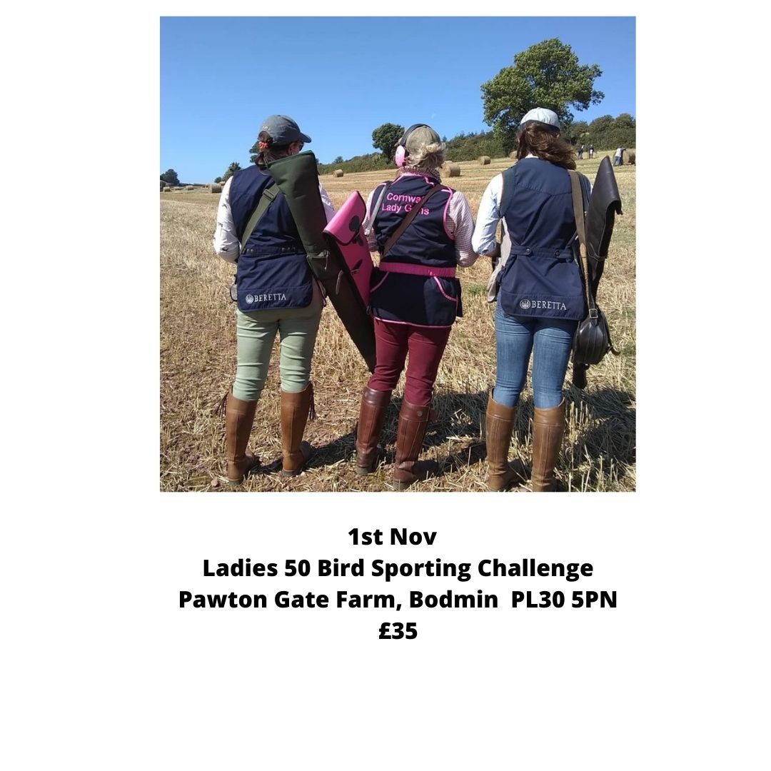Cornwall Lady Gun tweet media
