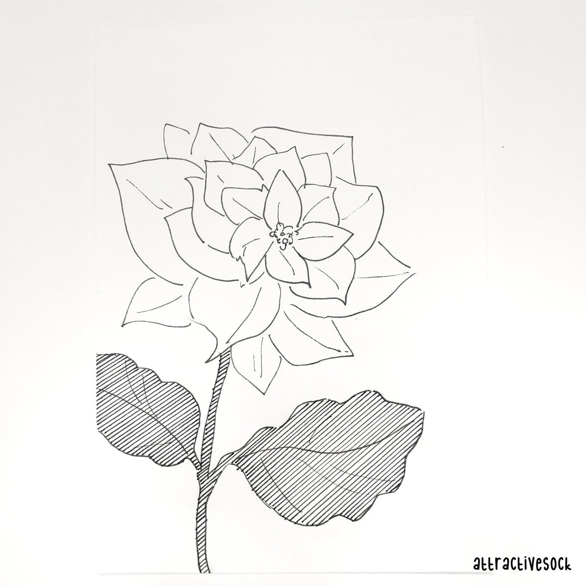 Twoucan Bangtoberd10 の注目ツイート イラスト マンガ コスプレ モデル