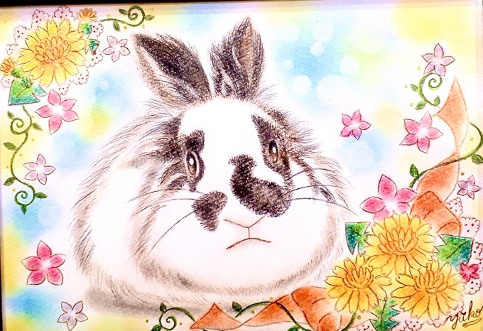 うさぎちゃん 高画質 のtwitterイラスト検索結果 古い順