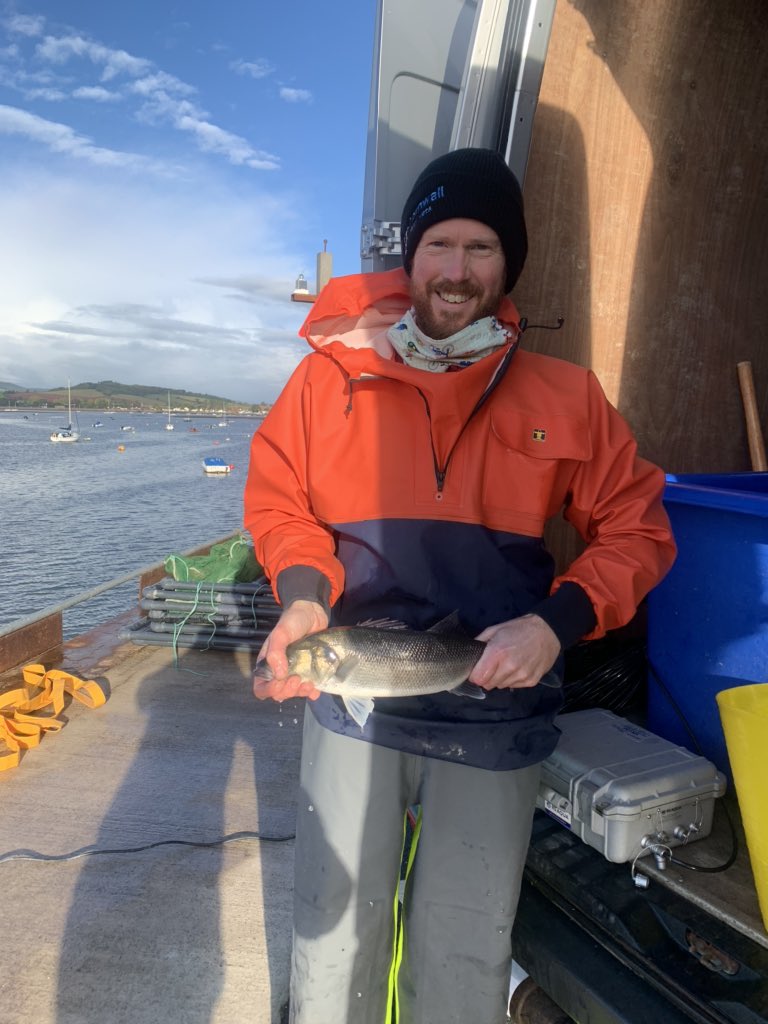 ThomasStamp's tweet photo. It’s been a basstastic few days, tagging in the Exe estuary to learn about connectivity between coastal habitats and offshore aquaculture #ProjectRope #Seabass #trackingnotslacking @Dr_Emma_Sheehan @EU_MARE @SJ_Pittman1 @PlymUni @Innovasea @BedeFfinian @AdamLikesTheSea https://t.co/0dj2e02Q9j