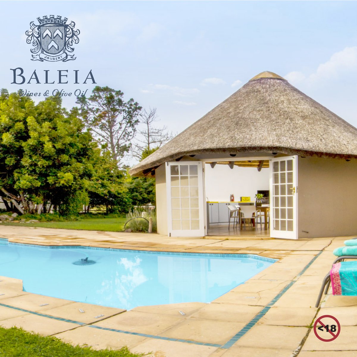 If it’s international travel you crave, sneak away to a Mediterranean nook of South Africa at Baleia Wines Videira accommodation. Enjoy walks along the beach, exploring the vineyards and of course, Baleia Wine. 
#BaleiaWinesandOliveOil