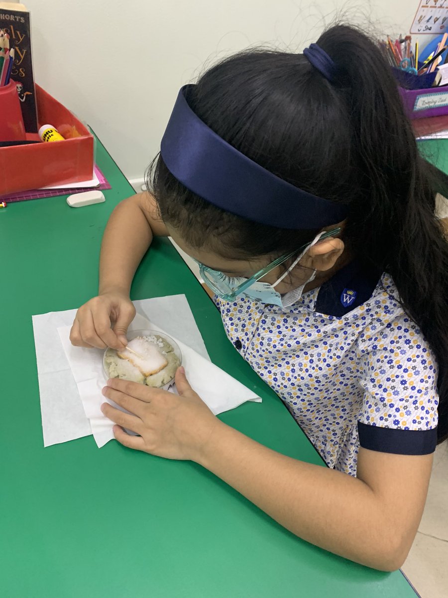 WPS_Year3's tweet image. We uncovered our fossils just like real palaeontologists. Next, we investigated if they were body fossils or trace fossils. Do you know the difference? #WPSScience #WPSCreativity