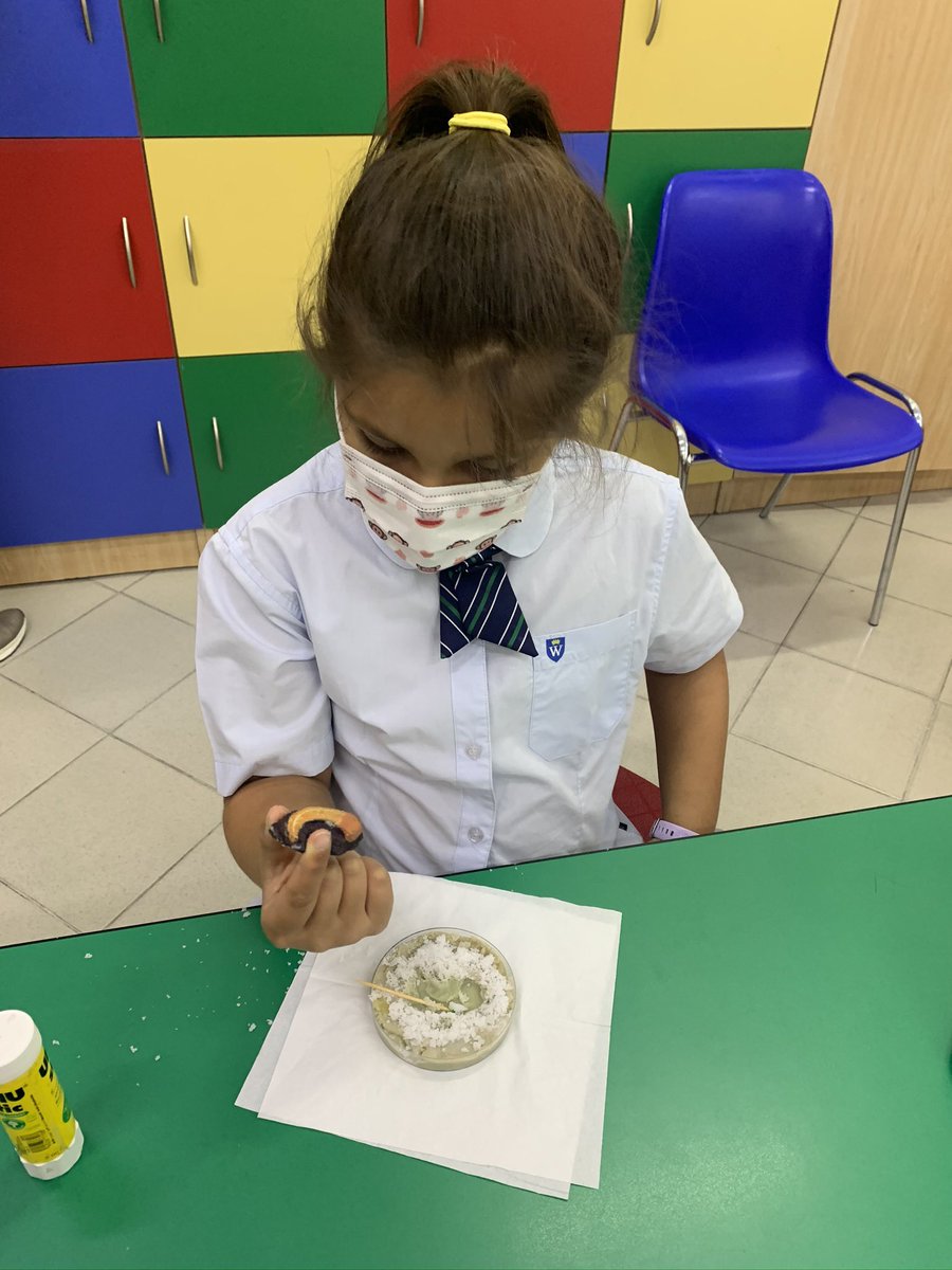 WPS_Year3's tweet image. We uncovered our fossils just like real palaeontologists. Next, we investigated if they were body fossils or trace fossils. Do you know the difference? #WPSScience #WPSCreativity