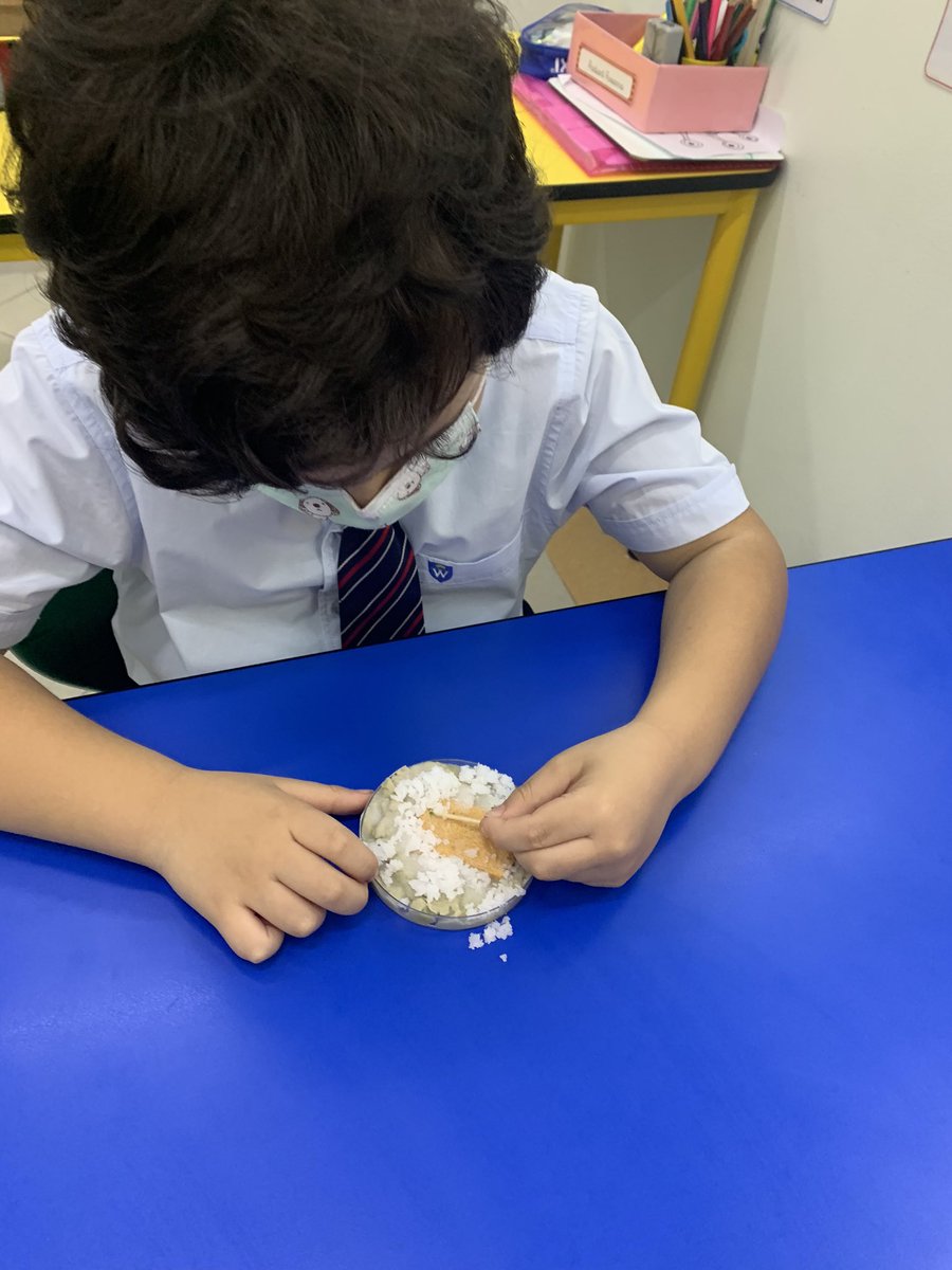 WPS_Year3's tweet image. We uncovered our fossils just like real palaeontologists. Next, we investigated if they were body fossils or trace fossils. Do you know the difference? #WPSScience #WPSCreativity